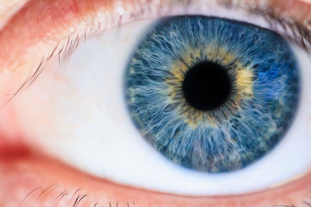Close-up of a blue human eye, the iris filling almost the whole frame